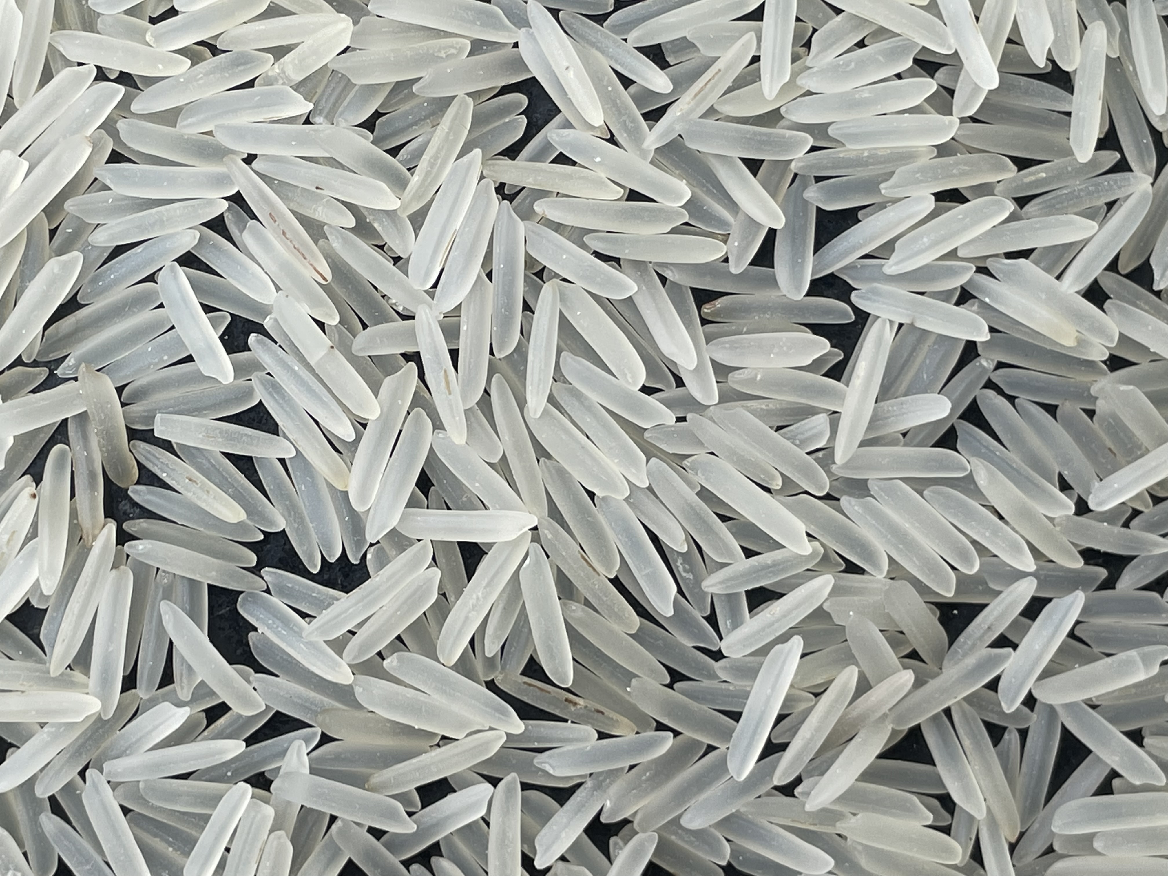IR 64 Parboiled Rice